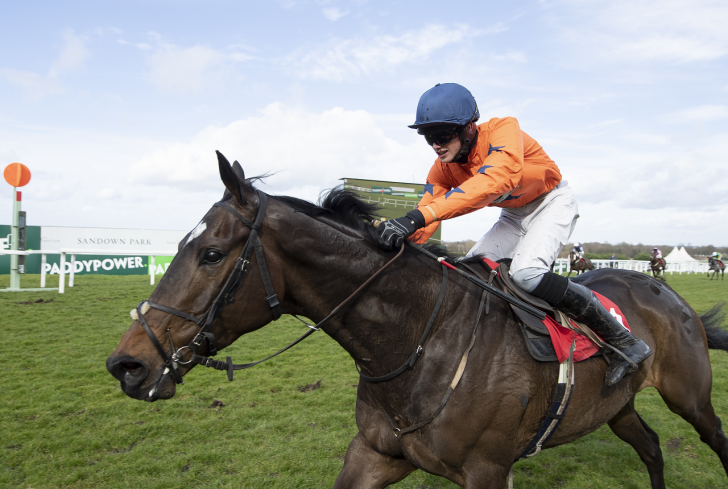 Horse at finishing post